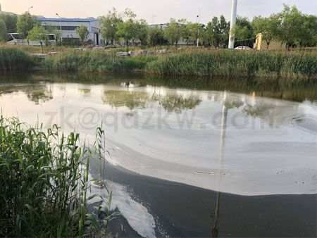 Micro-nano bubble generator applied to fish pond sewage treatment